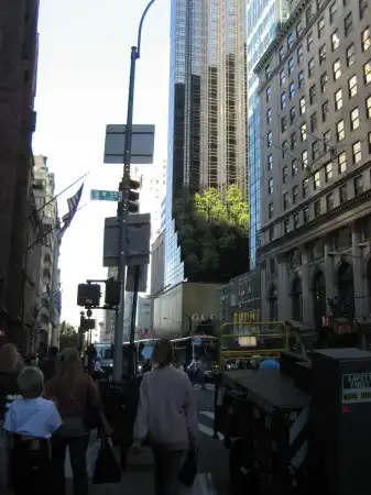 New York city )