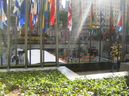 New York city )