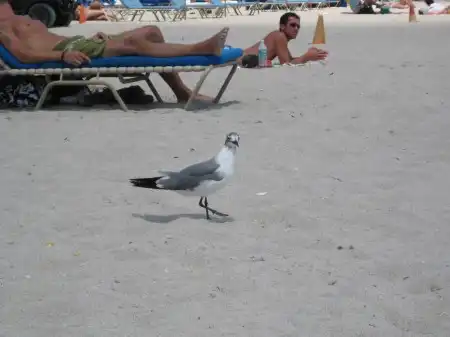 Miami, Florida