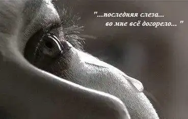 Картинки со смыслом Картинки со смыслом