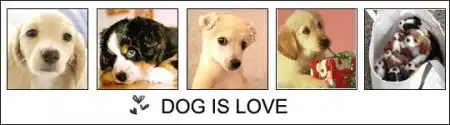 What is LOVE или Отвечаем на вечный вопрос