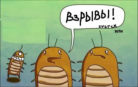 не взрывайте питарды!!! не взрывайте питарды!!!