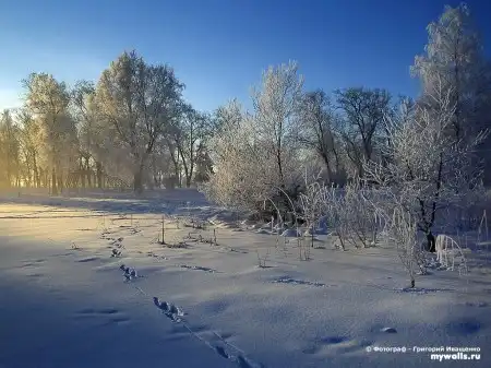 Зимушка-зима......