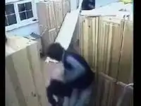 Нарезка драк из Дома-2 Нарезка драк из Дома-2