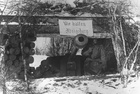 Ost Front 1945