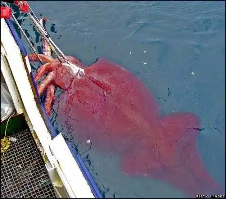 Морские чудовища