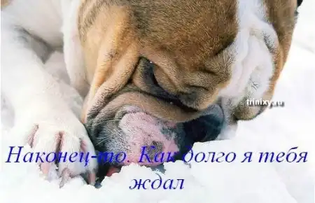 Зиме посвящается
