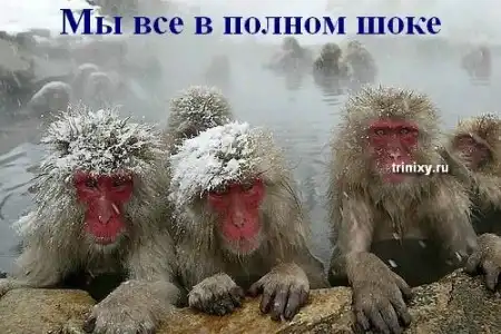 Зиме посвящается