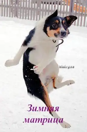 Зиме посвящается