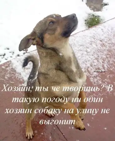 Зиме посвящается