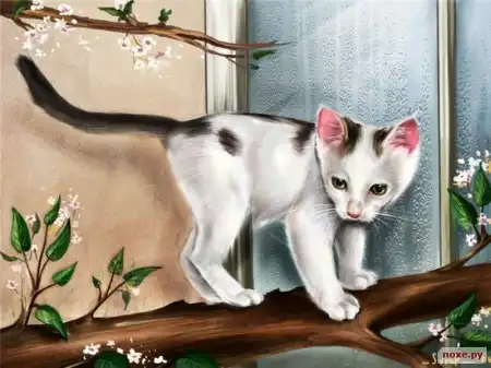 Рисунки