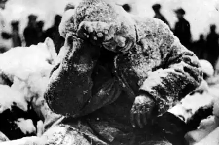 Зимняя война 1939г.