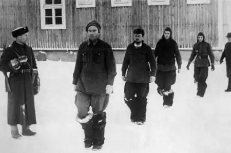 Зимняя война 1939г.