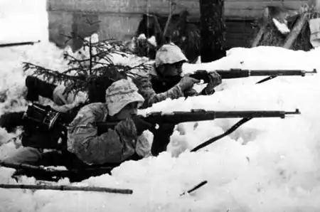 Зимняя война 1939г.