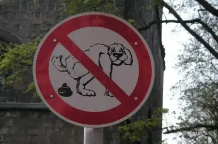 Прикольные надписи
