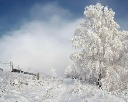 Зима (24 фото)