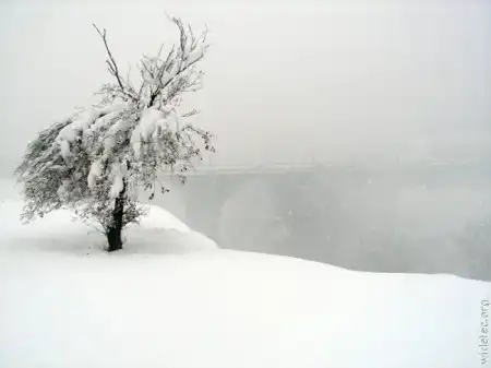 Зима (24 фото)