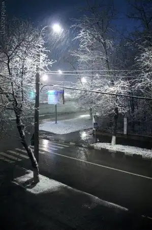 Зима (24 фото)