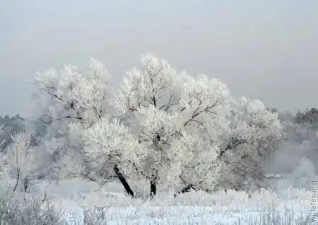 Зима (24 фото)