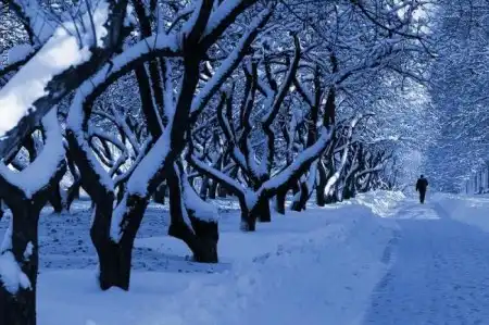 Зима (24 фото)
