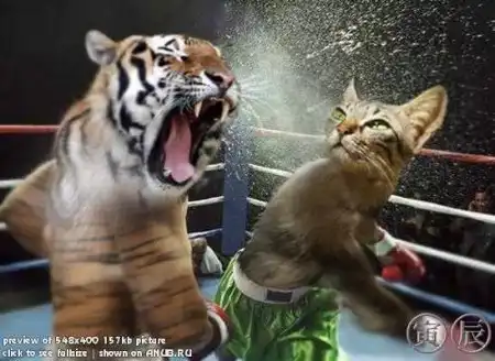 Ещё забавные картинки