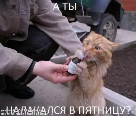 Ещё забавные картинки
