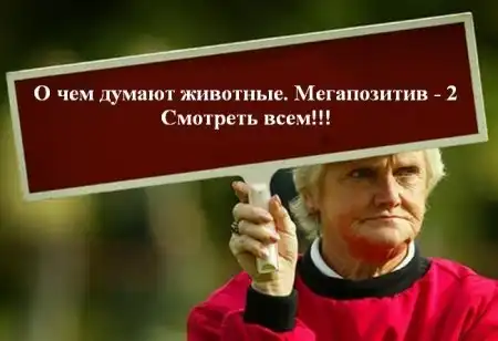 О чем думают животные. Мегапозитив