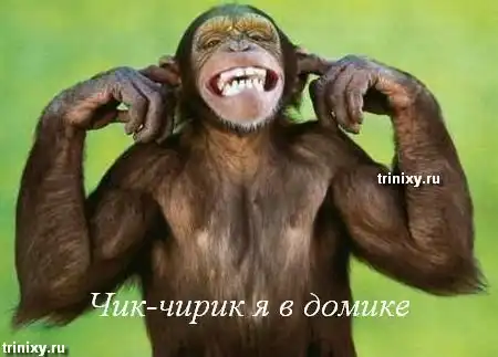 О чем думают животные. Мегапозитив