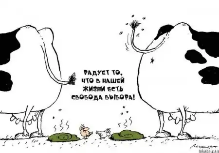 Прикольные картинки субботы