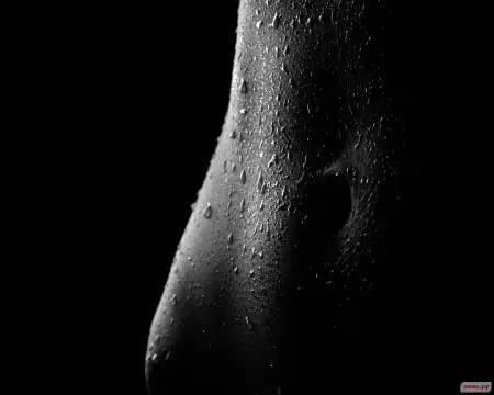 Black...