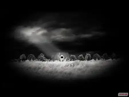 Black...