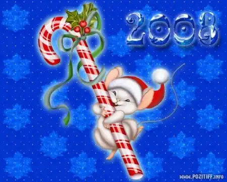 2008