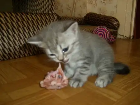 Мои милашки-2