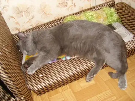Мои милашки-2