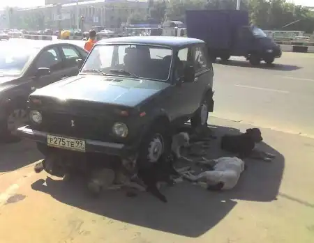 Приколы на дорогах :)