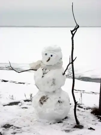 Снежные бабы-деды