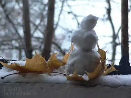 Снежные бабы-деды