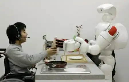 Человекоподобный робот Twendy-One