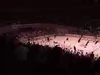 20000 плющевых медведей в качестве подарка 20000 плющевых медведей в качестве подарка