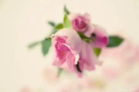 Креативные рисунки цветов