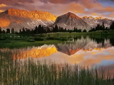  Красивая природа (34 фото)