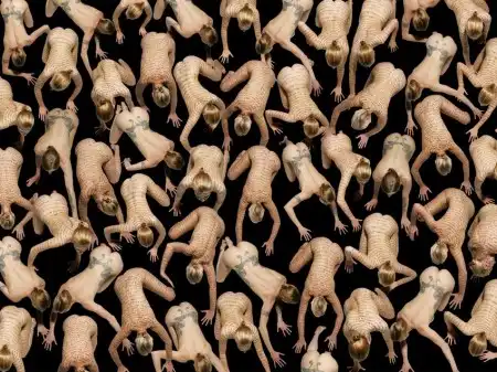 Фотограф Claudia Rogge