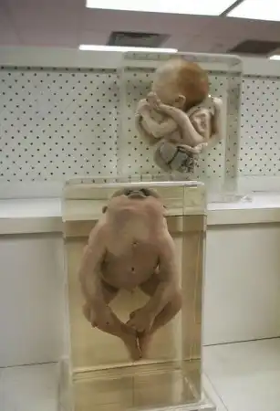 Музей греха