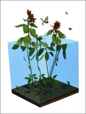 Классные рисунки от Josh Keyes