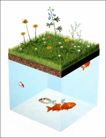 Классные рисунки от Josh Keyes