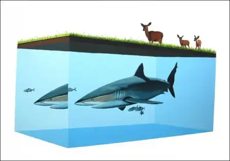 Классные рисунки от Josh Keyes