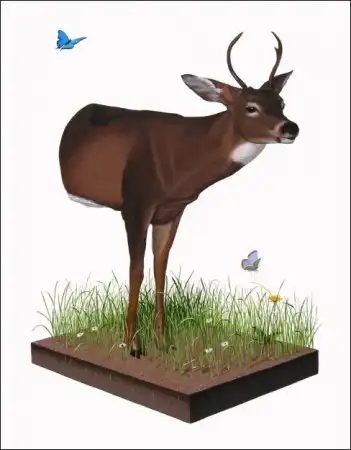 Классные рисунки от Josh Keyes