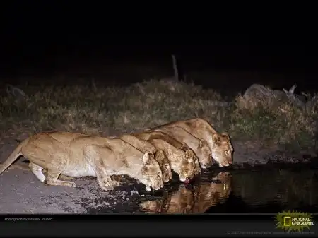 National Geographic