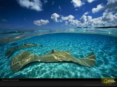 National Geographic