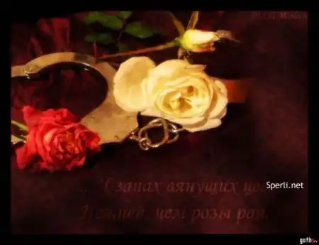 Философия в картинках.